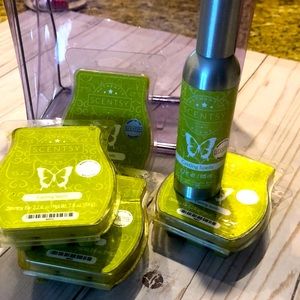 Scentsy 4 Bars & Room Spray •Casting Spells